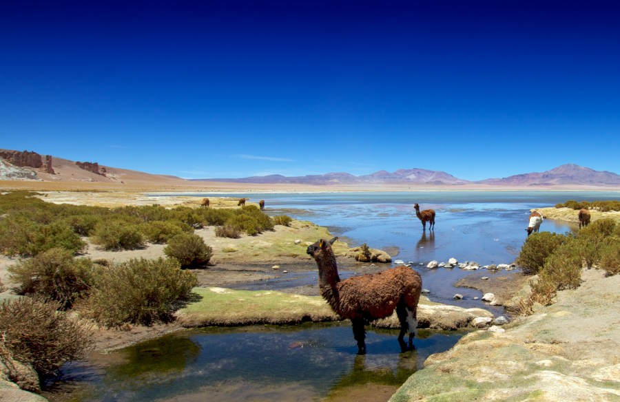 Chile, syksyn 2010 maailmanympärimatkalla