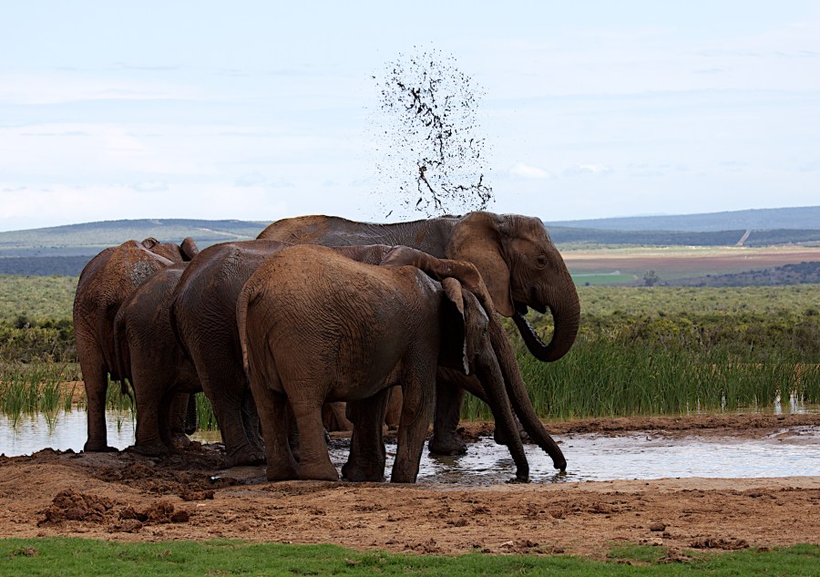 Hongkongin kautta Etelä-Afrikkaan, syksyn 2010 maailmanympärimatkalla