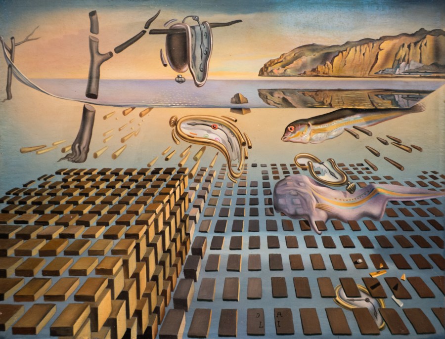 Pitbull lavalla ja Yorkshiren terrieri&nbsp;aidanraossa