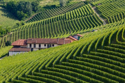 barbaresco-10