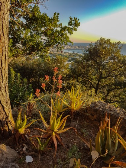 7/2018 Päivi ja Lasse Stresa Napoli Ischia