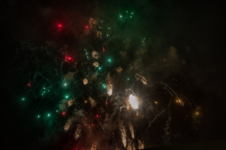 Viareggio carnevale 2019-126.jpg