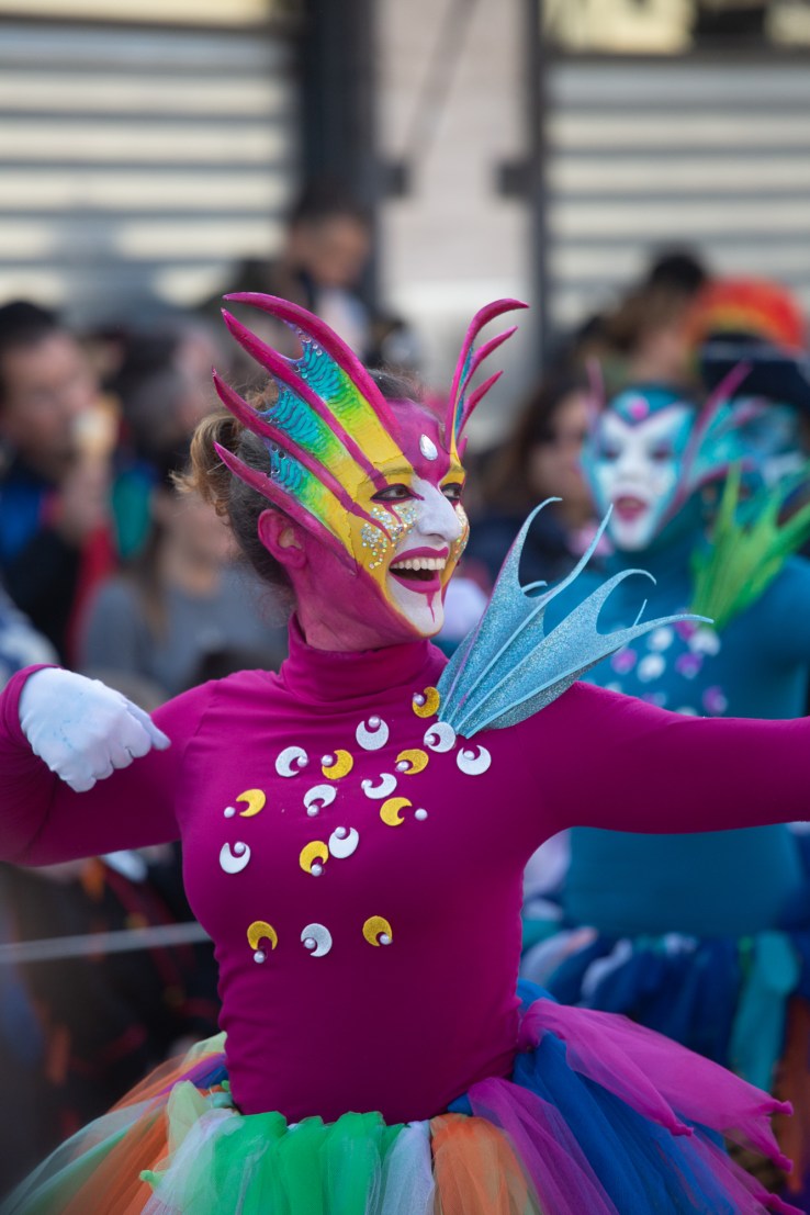 Viareggio carnevale 2019-80.jpg